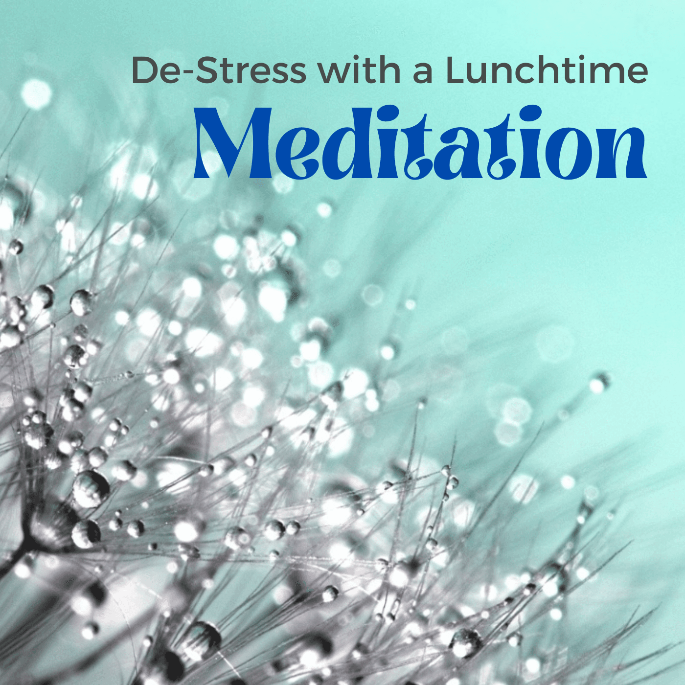 Lunchtime Meditations
